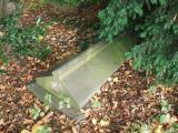 image of grave number 177615